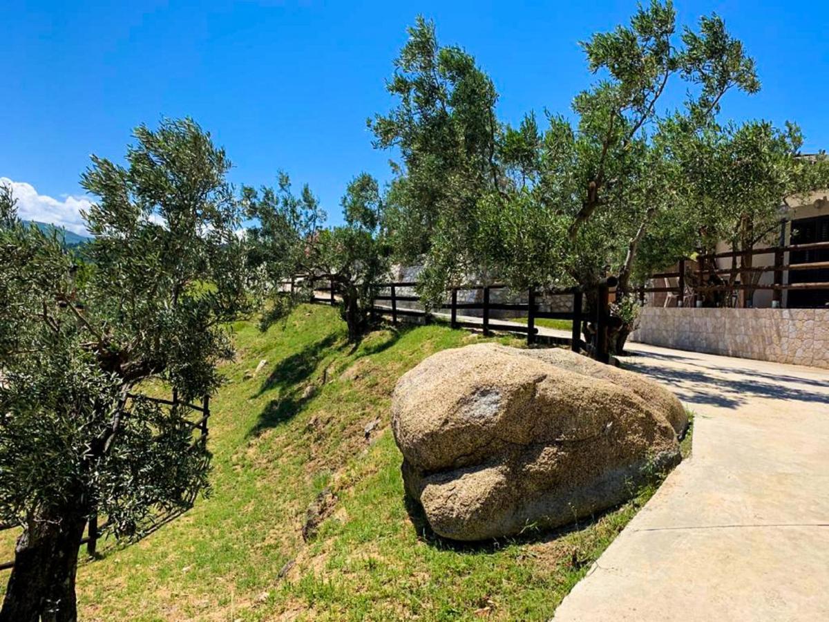 Agriturismo Podere Pansera Petrizzi Exterior photo